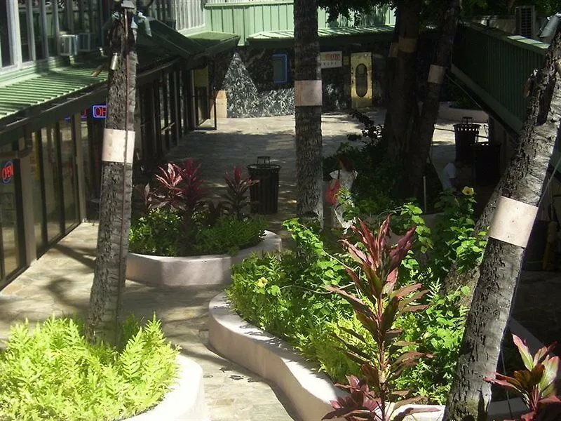 Kuhio Banyan Hotel  Honolulu USA
